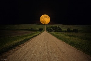 Road-to-Nowhere-676x451