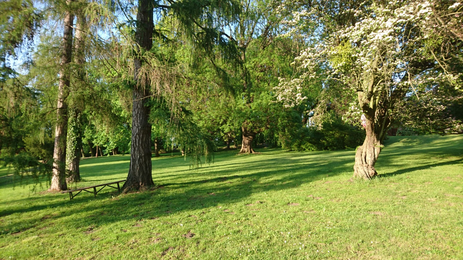 Summer weeks in Czech Republic