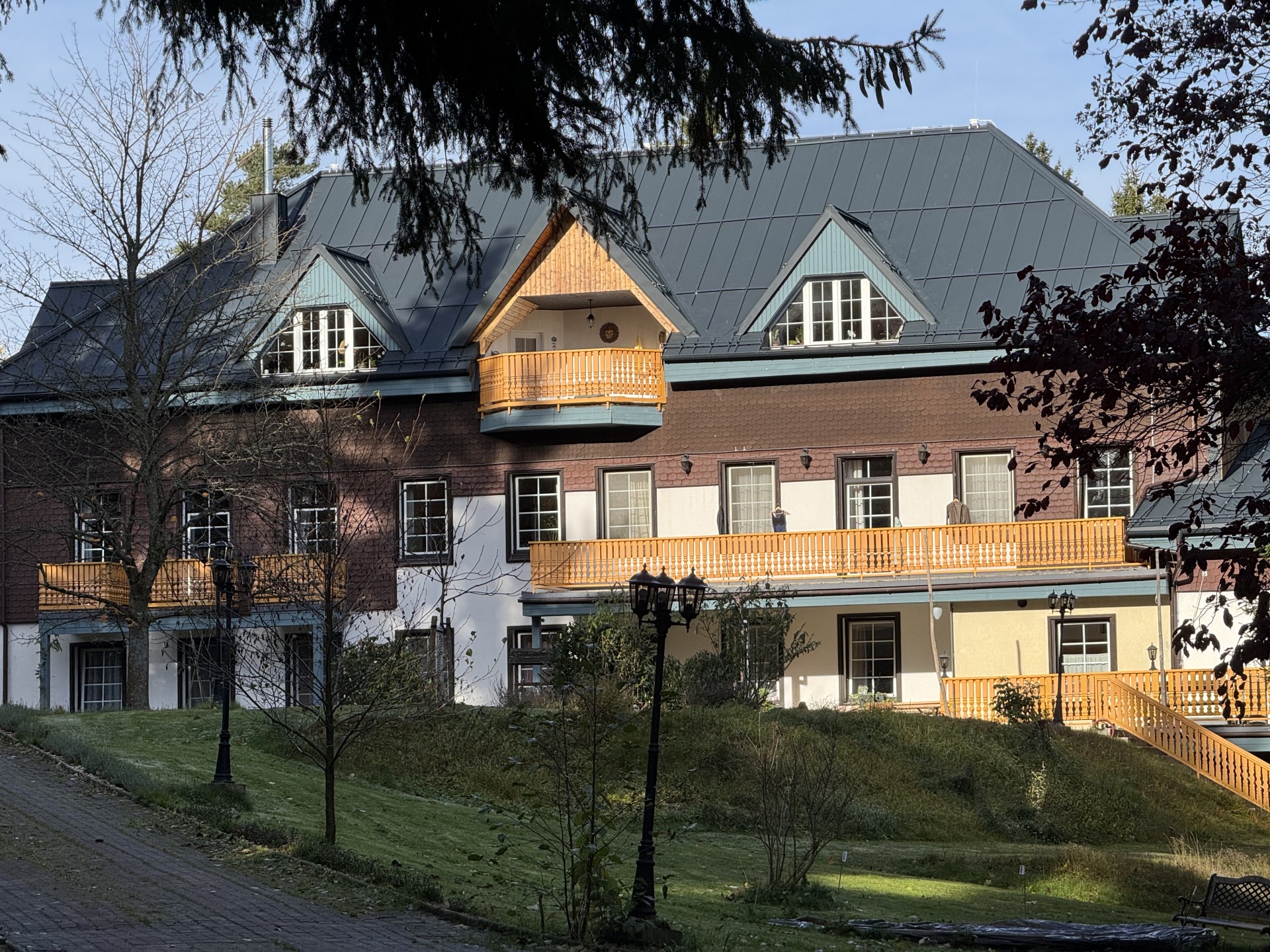 ONLINE SATSANG Z TRIMURTI (EN)