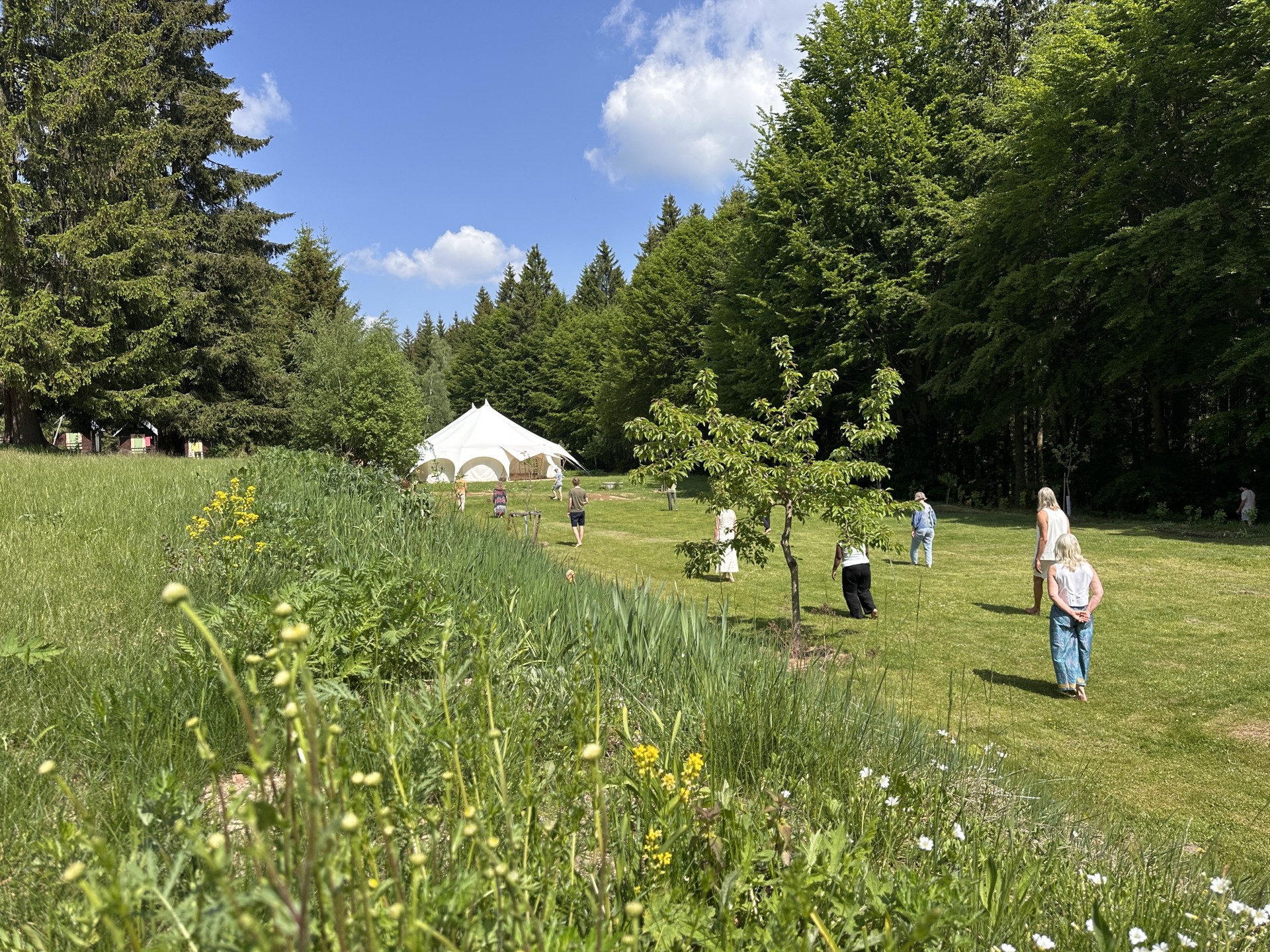 Online zomerweken satsang  met Naropa